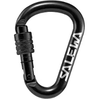 Salewa HMS Screw G2 Karabijnhaak Medium, zwart 2023 Karabijnhaken