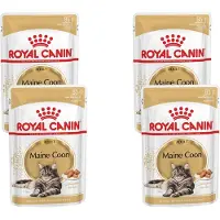 Royal Canin - Kattenvoer Nat Maine Coon Loaf - 48 x 85 gr