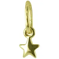 New Bling 9NBSAM-G190118 Gouden Hangertje - Dames - Ster - 3 mm - 14 Karaat - Bedel - Goud