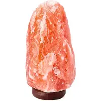 Mikamax Himalaya Salt Lamp - 2,5 kg - Zoutsteen met Dimlicht