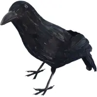 Smiffys Dressing Up & Costumes | Costumes - Halloween - Crow