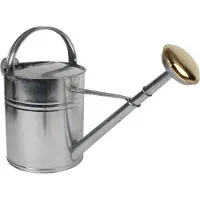 Talentools Gieter | | 10 liter (Broeskop, Metaal, Verzinkt)