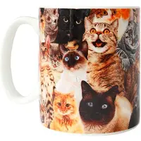Ohlsson & Lohaven Crazy Cat Mok