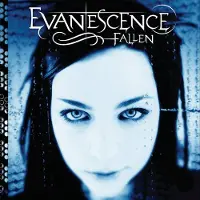Evanescence CD - Fallen - voor Geen - standaard | Maat Standard