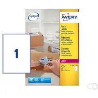 Avery L7167B-100 BlockOut verzendetiketten A4 199,6 x 289,1 mm wit (100 etiketten)