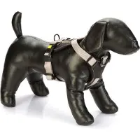 Beeztees Hondentuig Parinca Premium Grijs 84-100 X 3 Cm