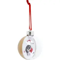 Deknudt Frames kerstbal S66FJ3 - goud/transparant - foto: 7,60x7,60 cm