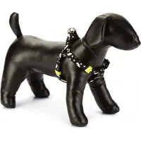 Beeztees Hondentuig Thunder Zwart 46-75 X 2 Cm