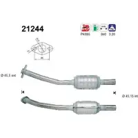 As 21244 Katalysator