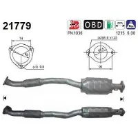As 21779 Katalysator