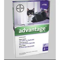 Bayer Advantage Cat 80 | 4 x 0,8 ml