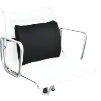 Desq Ergonomische Rugsteun Mesh