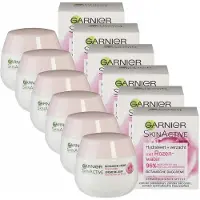 Garnier SkinActive BotanischGarnier SkinActive Botanische dagcrème met Rozenwater - Droge en Gevoelige Huid - 6 x 50ml - Voordeelverpakking