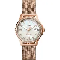Fossil Fb-01 dameshorloge Rosékleurig ES4999