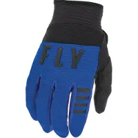 FLY Racing 2022 Adult F-16 Handschoenen (Blauw/Zwart, Groot)
