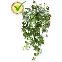 Maxifleur Kunstplanten Hedera kunst hangplant 65cm - UV bestendig
