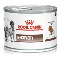 Royal Canin 12x Recovery Honden- en Kattenvoer Nat 195 gr