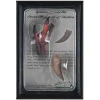 Collecta prehistorie: handklauw en handreplica T Rex 11,5 cm bruin