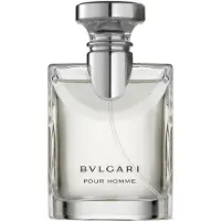 Bvlgari Herengeuren Bvlgari pour Homme Eau de Toilette Spray