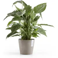 Ecopot's Pot amsterdam taupe d20h18cm