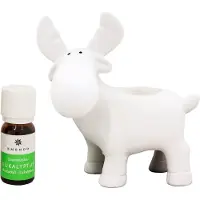 Emendo - Saunaporo - White Sauna Reindeer + Eucalyptus 10ml