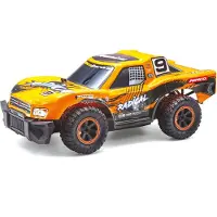 Ninco Radio Control Radical Goud