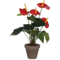 Mica Decorations Kunstplant Anthurium Rood D 30 H 40 Cm