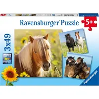Ravensburger puzzel Schattige Pony's - 3x49 stukjes - kinderpuzzel