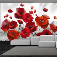 Karo-art 245cm X 175cm - Zelfklevend fotobehang - Rode Klaprozen, 8 maten, premium print