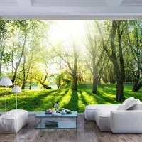 Karo-art 392cm X 280cm - Zelfklevend fotobehang - Zonnige dag in een bos , Premium Print