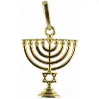 New Bling 9NBSAM-G190661 Gouden Hangertje - Dames - Chanoeka - Kandelaar - Davidster - 11,5 x 10,3 mm - 14 Karaat - Bedel - Goud