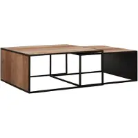 DTP Home Cosmo salontafel teakhout - set van 2