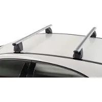 Menabo Dakdragers geschikt voor Fiat Scudo I 1996-2004 Delta zilver