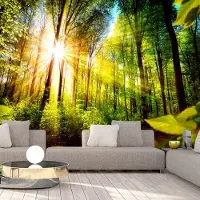 Karo-art 98cm X 70cm - Zelfklevend fotobehang - Verstop plek in het bos , Premium Print