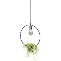 QAZQA Moderne hanglamp zwart met glas rond - Roslini