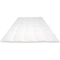 Cassenz REMBRANDT | donzen dekbed | 100% ganzendons | Herfst | warmteklasse 3 - 200/220cm - 600gr.