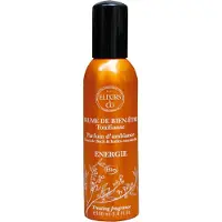Elixirs & Co Tonifiërende Welzijnsnevel Energy Bio | 100 ml