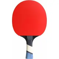 Cornilleau Tafeltennisbat Perform 500