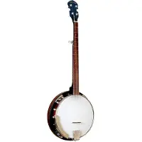 Gold tone CC-50RP Cripple Creek convertible banjo met draagtas