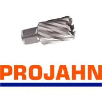 Projahn Kernboor 21mm , Snijdiepte 30mm ,Weldon ''''