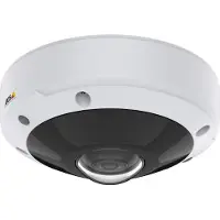 Axis M3077-PLVE - Netwerkpanoramacamera - Koepelvormig - Voor buitengebruik - Vandaalbestendig / Weerbestendig - Kleur (dag en nacht)