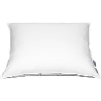 Polydaun 15% dons hoofdkussen en 12934 60 x 70 cm