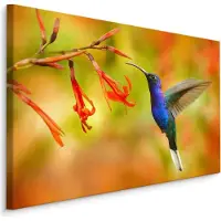 Karo-art Schilderij - Kolibrie en Bloemen, Multikleur, Premium Print