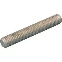 Stafa Draadeind Din976 8.8 M16 2Meter Thermisch verzinkt Iso