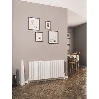 Eastbrook Addington type 10 radiator 105x60cm 983W staal wit glans