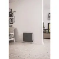 Eastbrook Addington type 10 radiator 35x60cm 351W staal antraciet