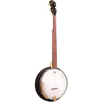 Gold tone AC-5 5-String Closed Back Banjo met draagtas