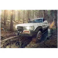 MSW Offroad-kabellier - 2.040 kg - 4.500 lbs - 12 V - 15 m staalkabel - incl. Katrol