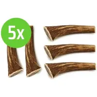 Beeztees Hertengewei - Hondensnack - 1st - M - ca 110 gram - 5 stuks