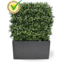 Maxifleur Kunstplanten Buxus deluxe kunstheg 80x100cm - UV bestendig